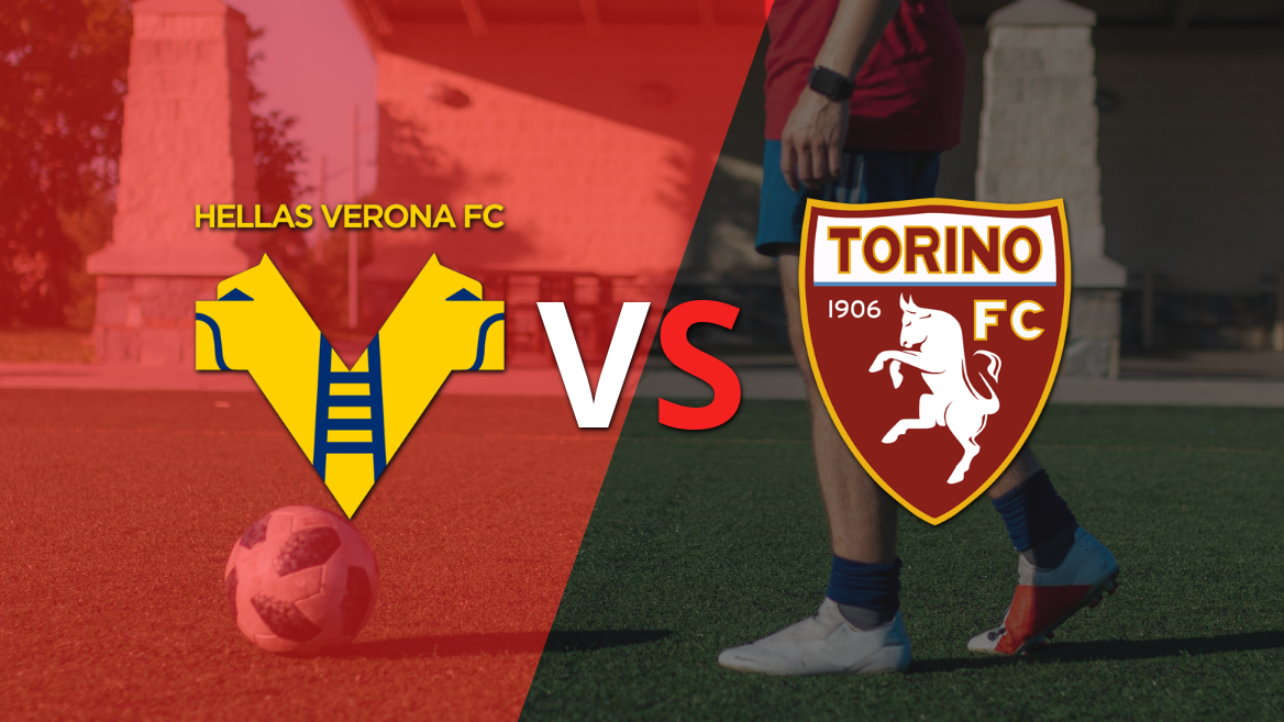 Por la fecha 18 se enfrentarán Hellas Verona y Torino