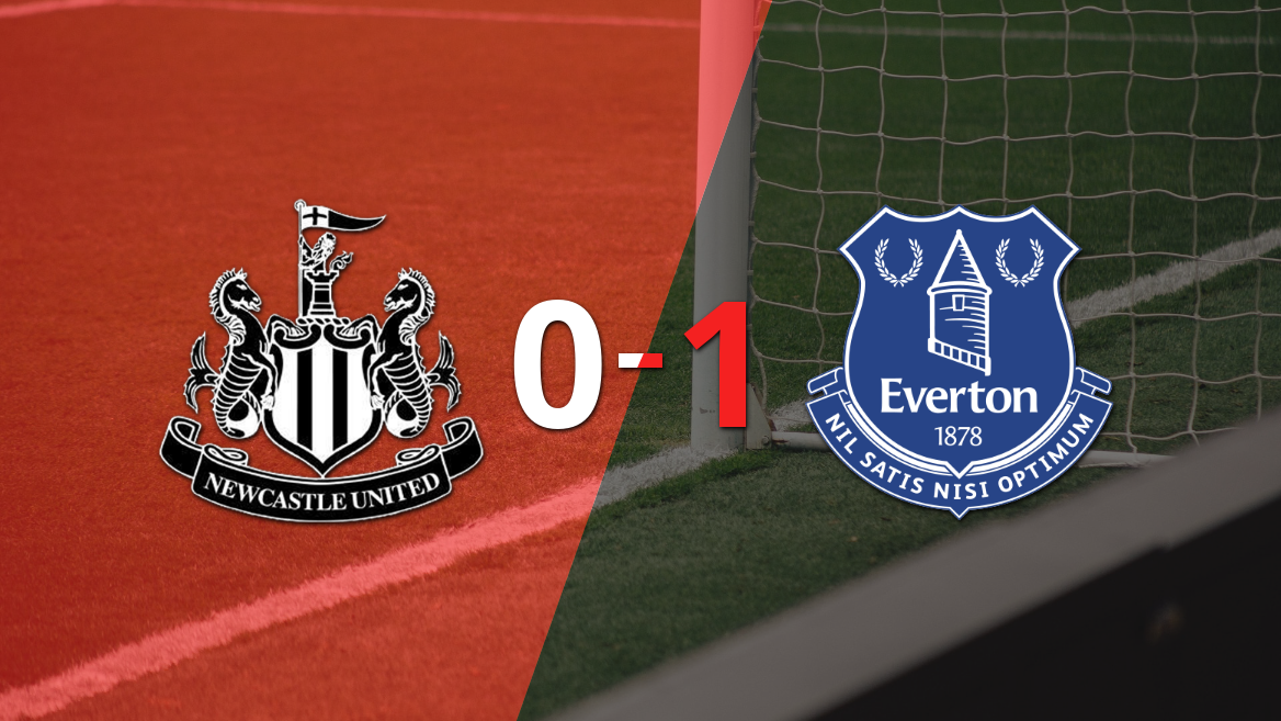 Inglaterra - Premier League: Newcastle United vs Everton Fecha 38