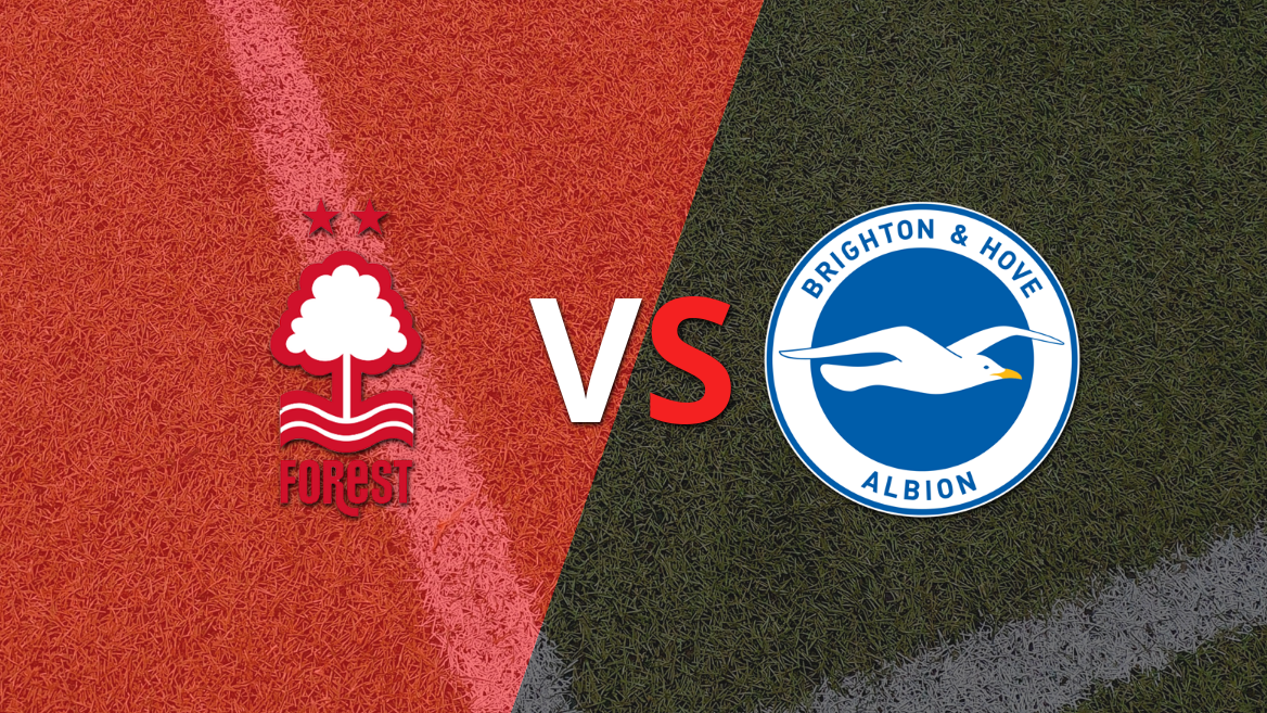 Nottingham Forest vs Brighton and Hove: previa, horario y cómo llegan para la fecha 13 de la Premier League