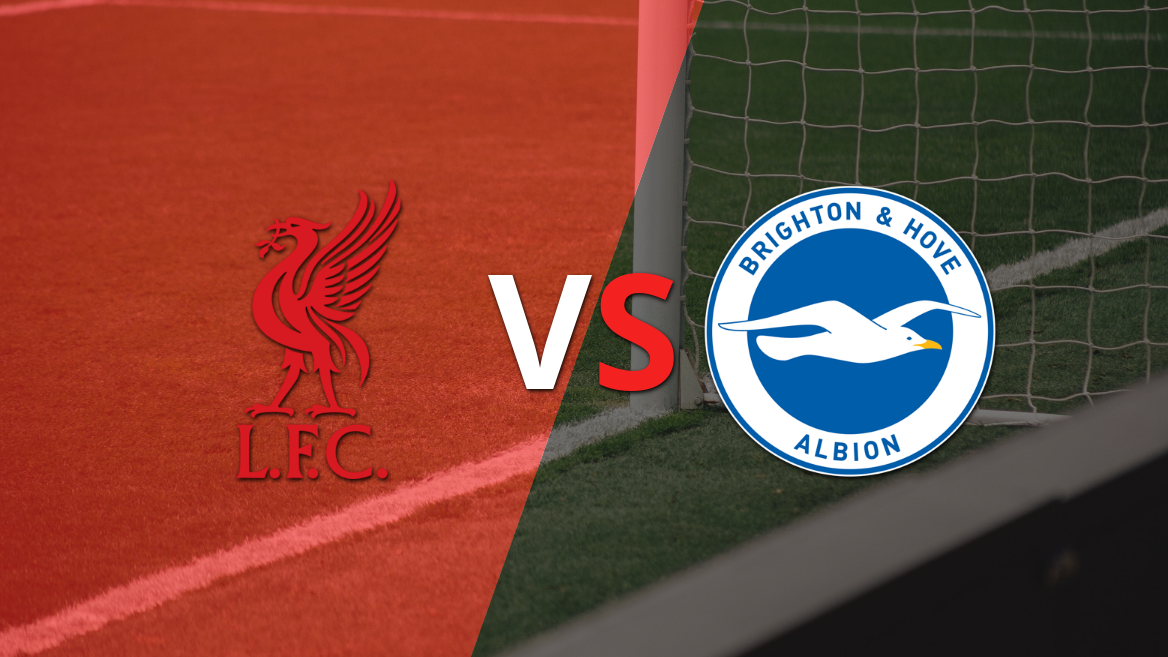 Liverpool vs Brighton and Hove: previa, horario y cómo llegan para la fecha 16 de la Premier League