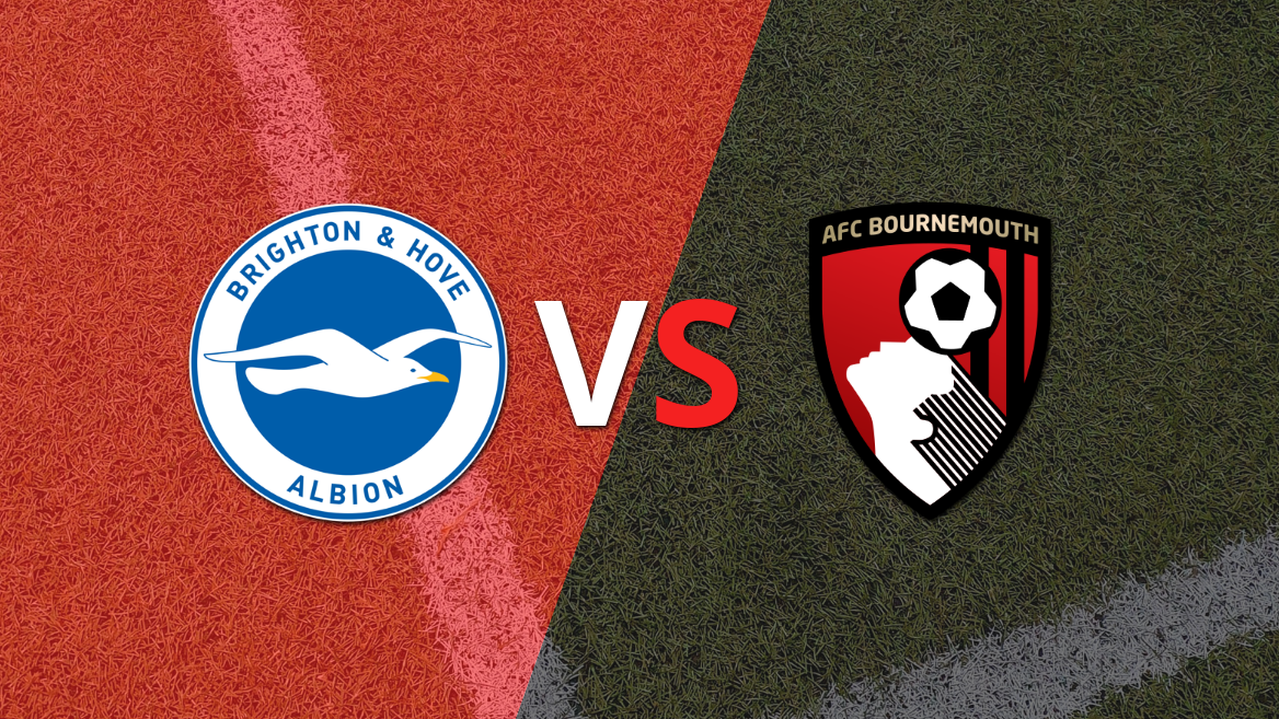Brighton and Hove vs Bournemouth: previa, horario y cómo llegan para la fecha 22 de la Premier League