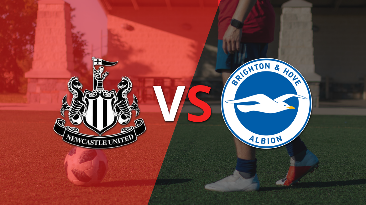 Newcastle United tiene la necesidad de cortar su racha negativa frente a Brighton and Hove