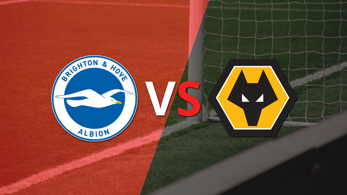 Wolverhampton busca salir del último lugar ante Brighton and Hove